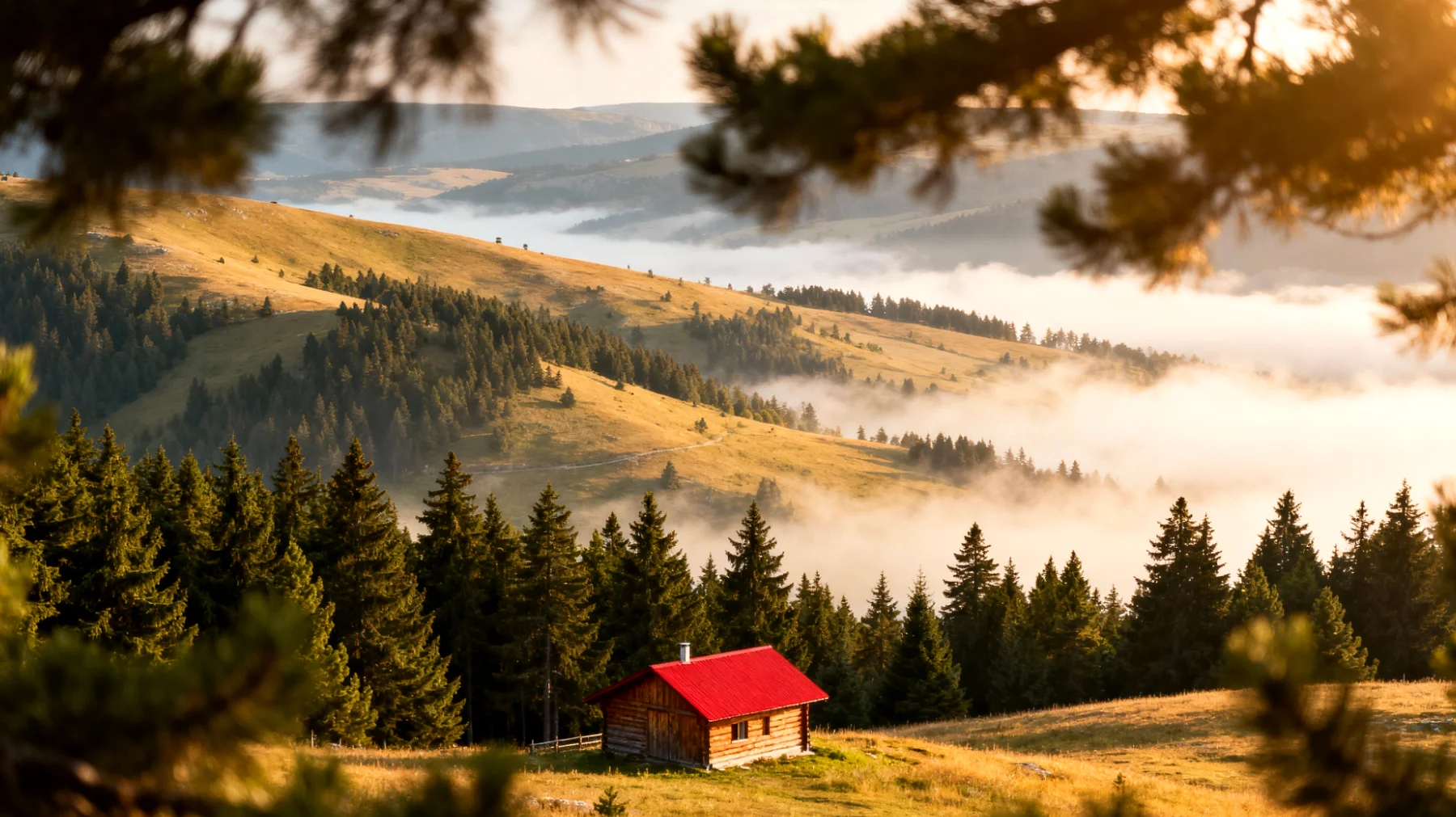 Zlatibor"